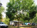 Camping Valle de Añisclo
